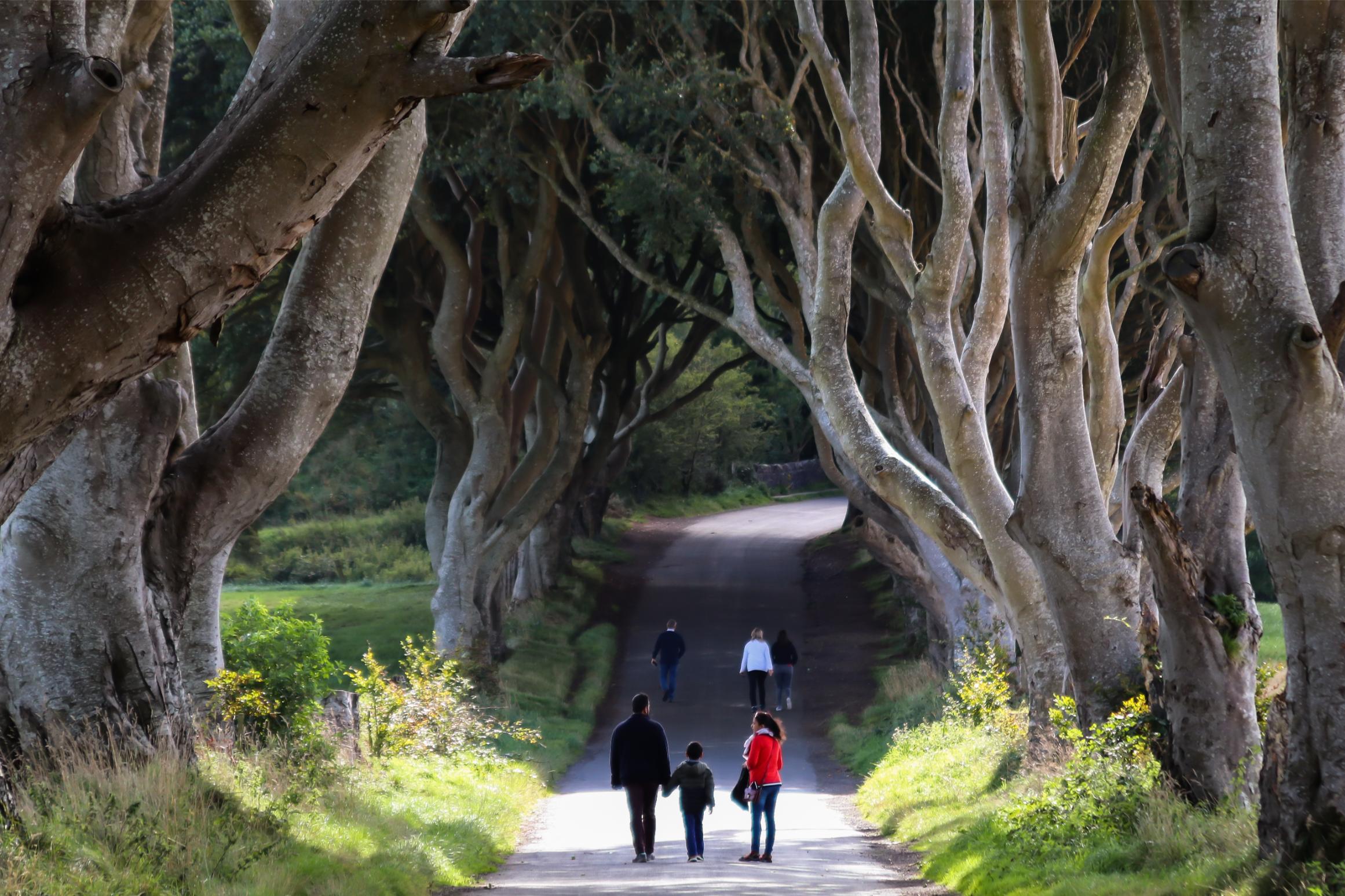 Giant’s Causeway & Game of Thrones Tour